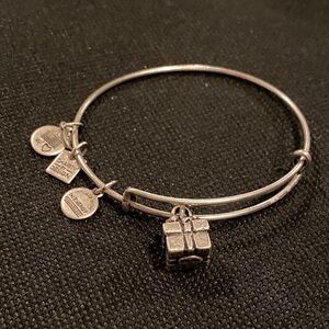 Alex and Ani Bracelet Present Rafaelian Silver